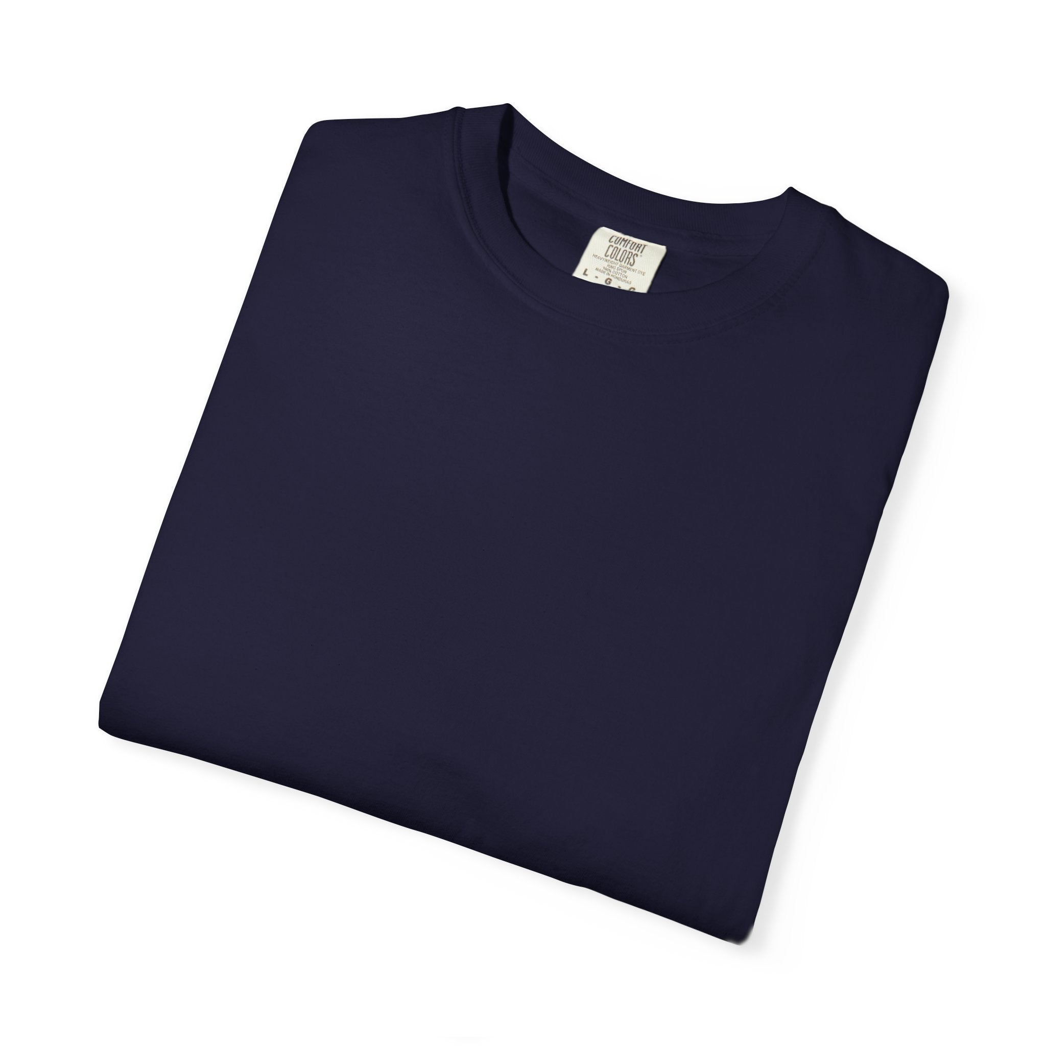 LPN T-Shirt — "Licensed. Practical. Professional. Powerful." LPN Pride Unisex Heavyweight Garment-Dyed Tee & Gift