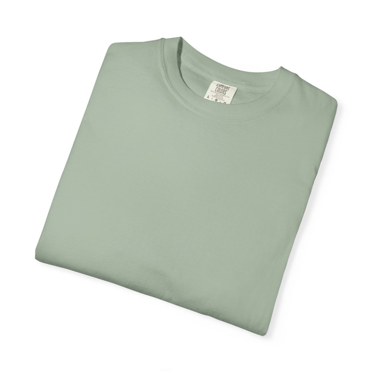 CNA Shirt, Second Toughest Person in the Room Tee, Back Print Nursing Assistant Gift, Comfort Colors CNA Appreciation Tee